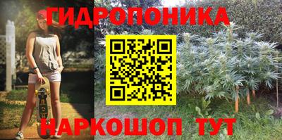 PSILOCYBIN Нальчик